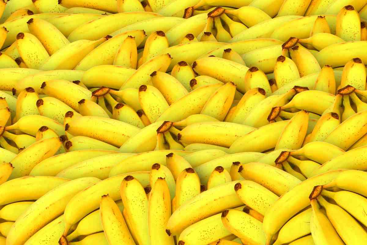 test intelligenza banane