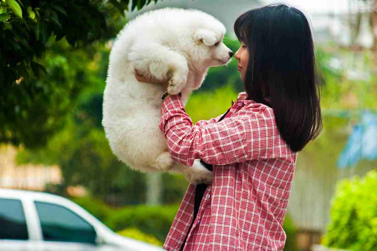 Bonus Animali Domestici come funziona