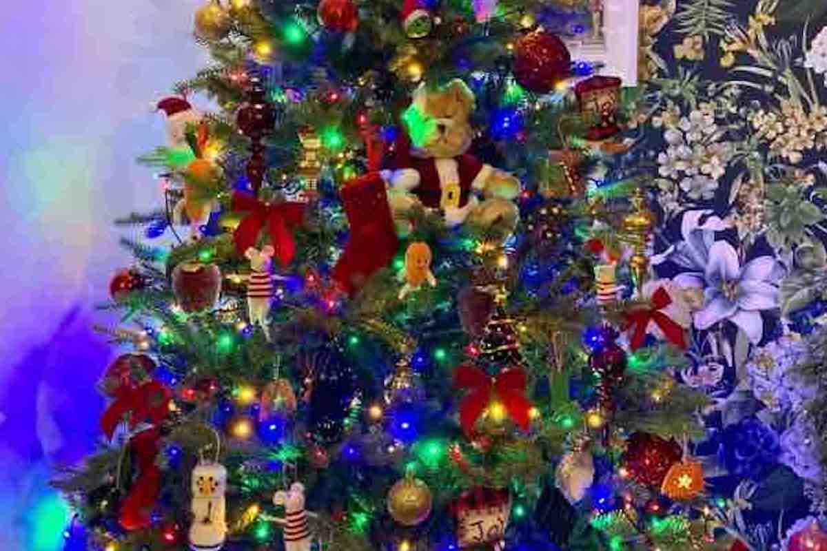 Gatto nascosto nell'albero di Natale
