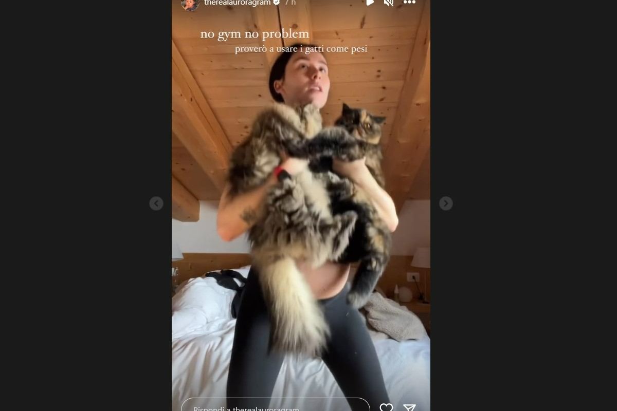 Aurora Ramazzotti instagram ginnastica gatti