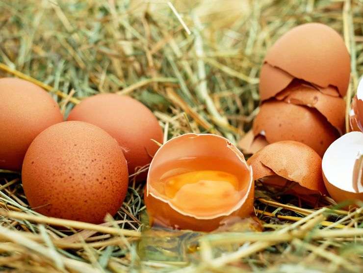 come capire uova fresche
