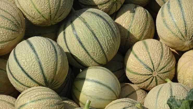 come sapere se melone è buono