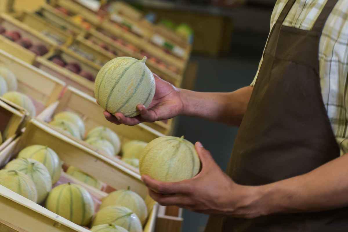 come sapere se il melone è buono