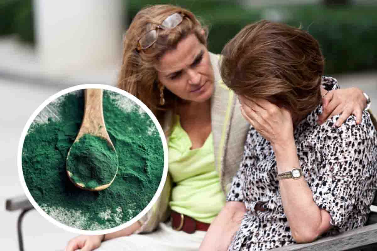 alzheimer e demenza cura spirulina