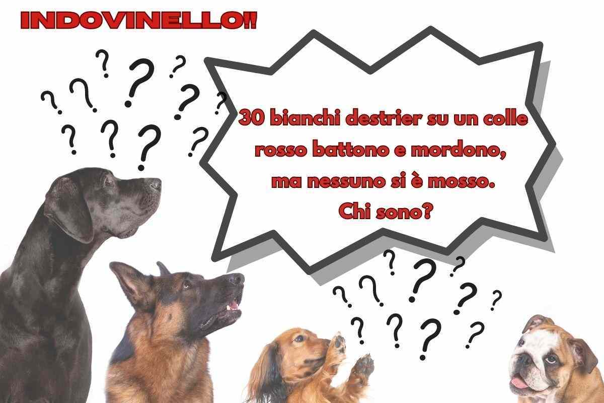 indovinello difficilissimo