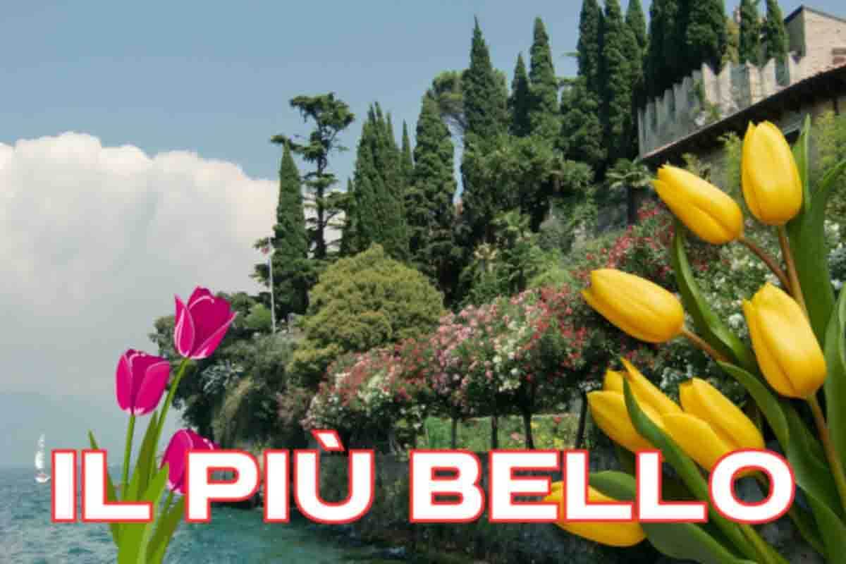 posto dove vedere i tulipani