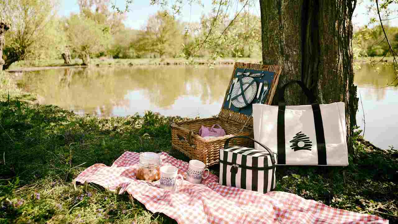 Il pic nic nella natura