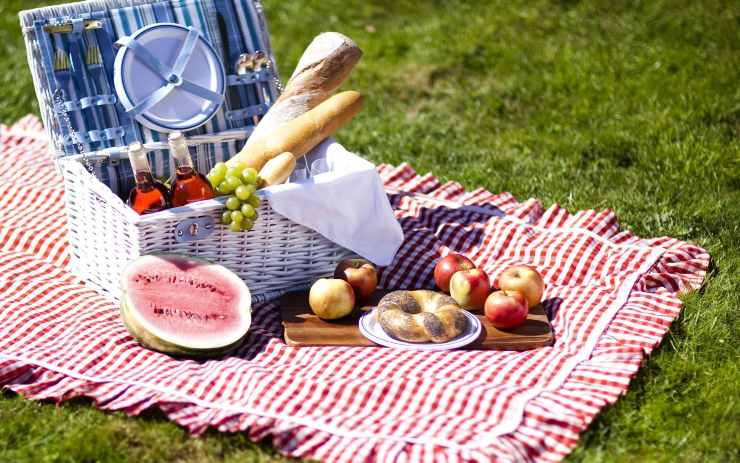 Tendenza pic nic