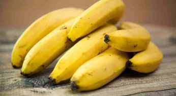 Banane perchè dovremo mangiarle spesso, ma attenzione alla maturazione