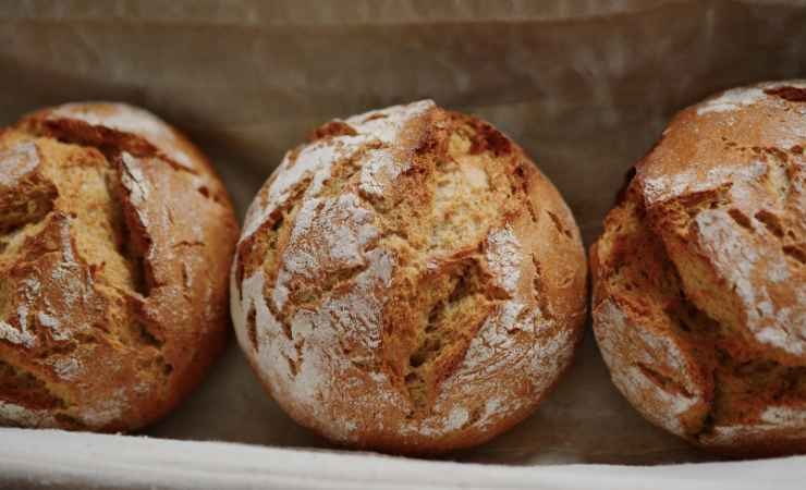 La crosta del pane fa bene al nostro organismo
