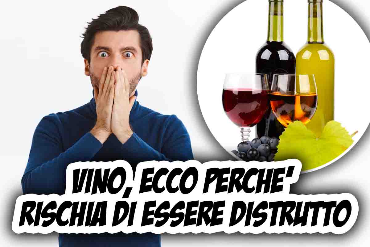 Vino rischia di essere distrutto