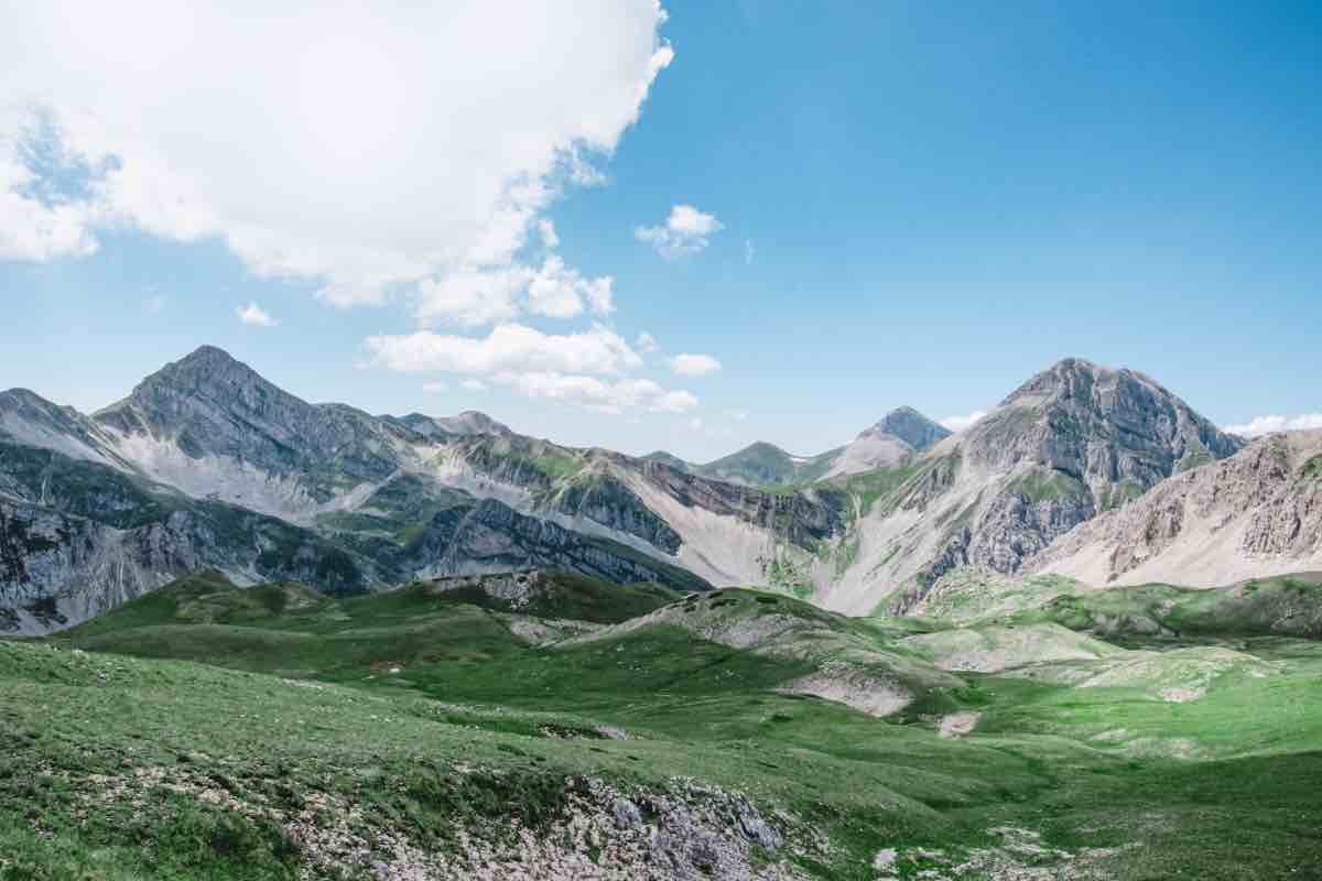 Lo slittino estivo è l'attrazione del momento, provala subito