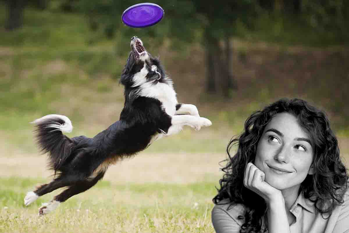 Un cane recupera un  frisbee in maniera spettacolare