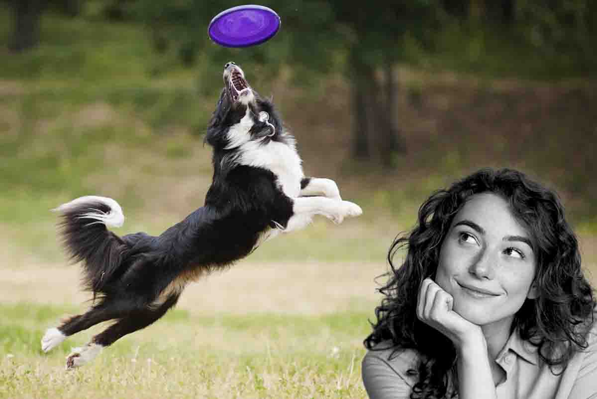 Un cane recupera un frisbee in maniera spettacolare